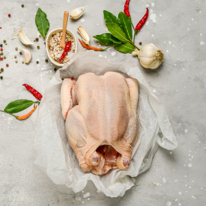 Festive Turkey